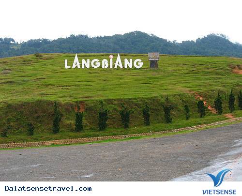 Tỉnh Lâm Đồng Thành Lập Khu Dự Trữ Sinh Quyển Langbiang - Ảnh 1 Tỉnh Lâm Đồng Thành Lập Khu Dự Trữ Sinh Quyển Langbiang - Ảnh 1