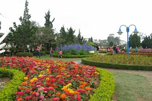 Trải Nghiệm Du Lịch Thành Phố Đà Lạt Trải Nghiệm Du Lịch Thành Phố Đà Lạt