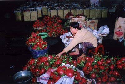 Chợ Âm phủ Đà Lạt Chợ Âm phủ Đà Lạt