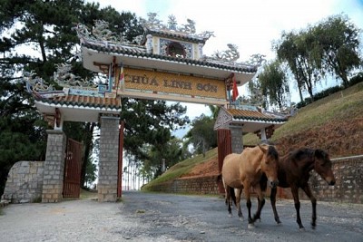Chùa Linh Sơn Đà Lạt Chùa Linh Sơn Đà Lạt