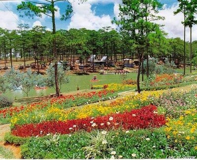 Đà Lạt thì cuối thu đầu đông Đà Lạt thì cuối thu đầu đông