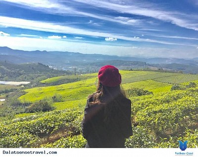 Khám Phá Đà Lạt: Thành Phố Ngàn Hoa Trở Lại Sau Dịch Khám Phá Đà Lạt: Thành Phố Ngàn Hoa Trở Lại Sau Dịch