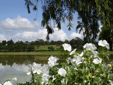 Hồ Xuân Hương - Trái tim Đà Lạt