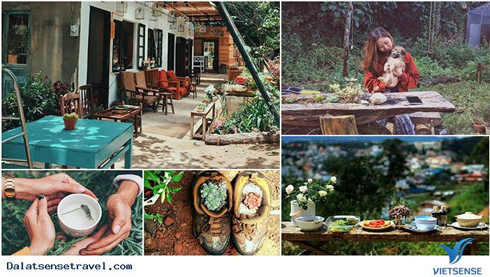 Những Hàng Quán Với Tên Gọi Không Giống Ai Ở Đà Lạt - Ảnh 1