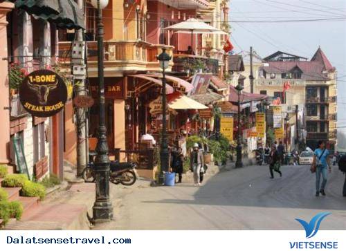 8 Lý Do Đến Vào Tháng 11 - Ảnh 1 8 Lý Do Đến Vào Tháng 11 - Ảnh 1