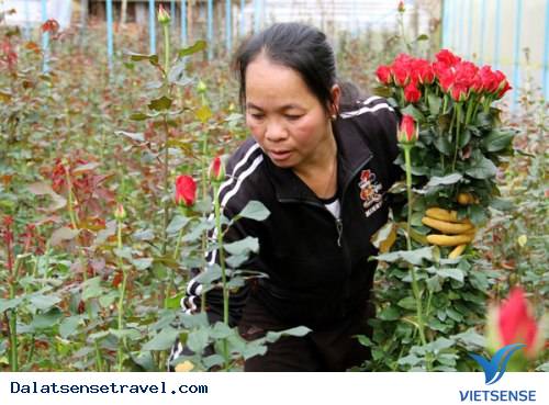 Ba Làng Hoa Nổi Tiếng Đà Lạt, tour du lịch Đà Lạt