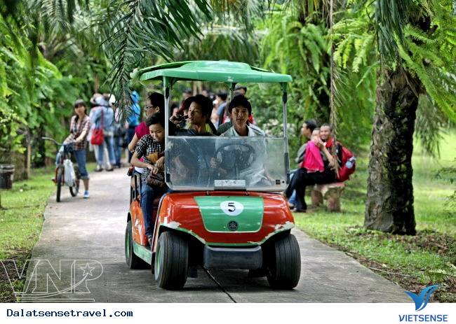 Các Địa Điểm Tham Quan Đà Lạt Hấp Dẫn ( P2 ) - Ảnh 3 Các Địa Điểm Tham Quan Đà Lạt Hấp Dẫn ( P2 ) - Ảnh 3