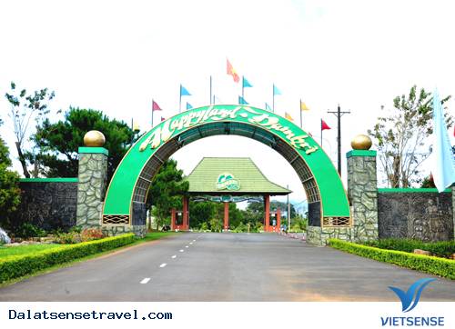 Các Địa Điểm Tham Quan Đà Lạt Hấp Dẫn ( P3 ) - Ảnh 6