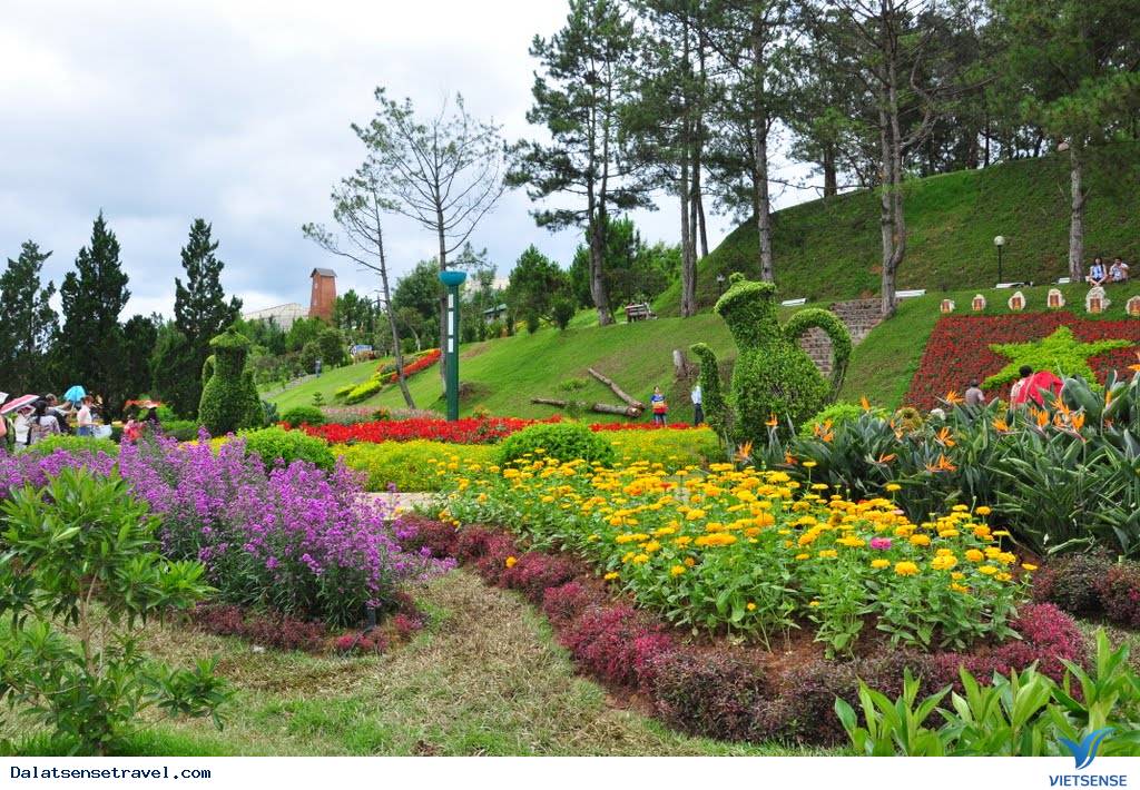 Các Địa Điểm Thăm Quan Đà Lạt Hấp Dẫn ( P1 ) - Ảnh 4