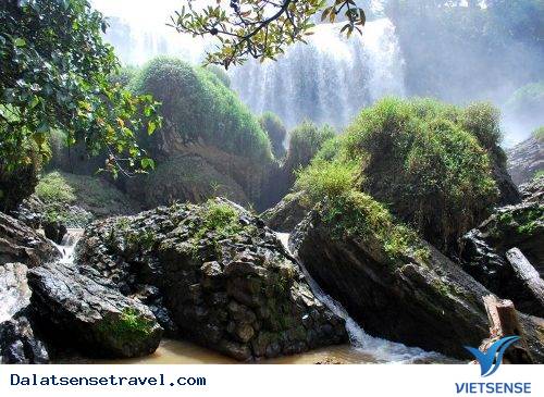 Chinh Phục Chân Thác Voi Ở Lâm Đồng - Ảnh 3 Chinh Phục Chân Thác Voi Ở Lâm Đồng - Ảnh 3