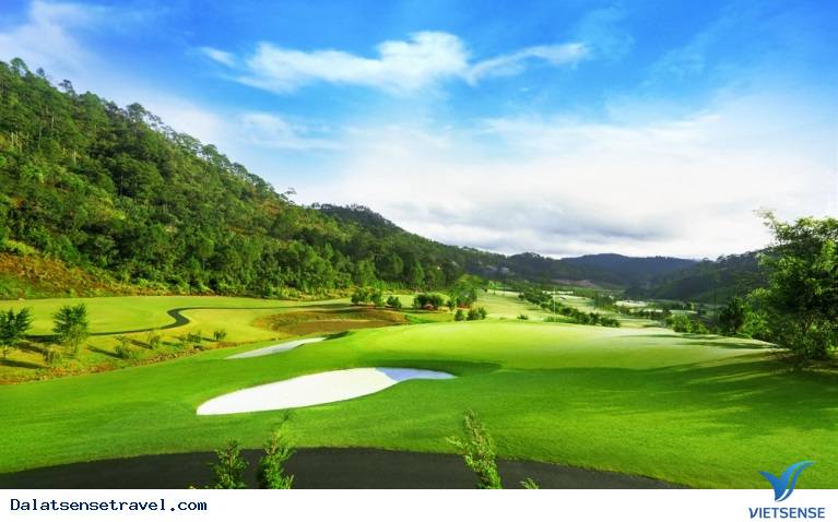 Chơi golf Chơi golf