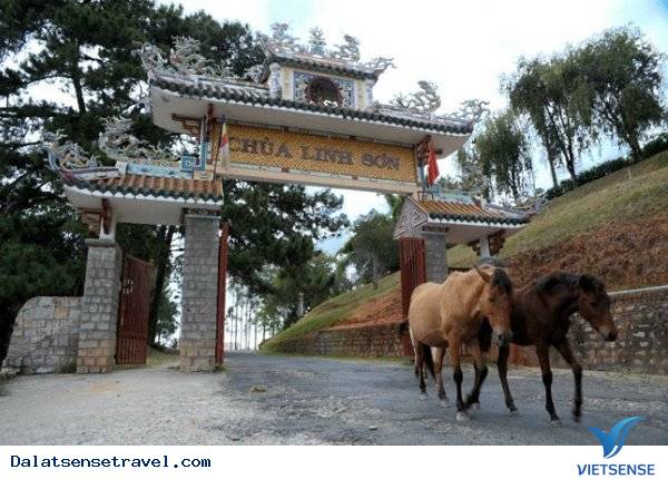 Chùa Linh Sơn Đà Lạt - Ảnh 1 Chùa Linh Sơn Đà Lạt - Ảnh 1