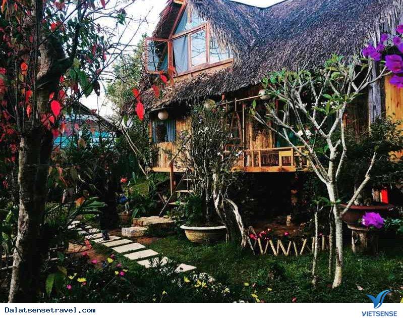 Củi Homestay Củi Homestay