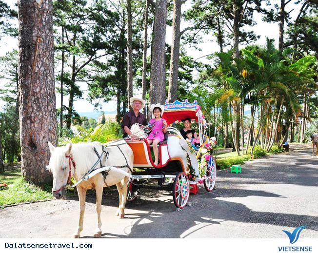 Cưỡi ngựa Cưỡi ngựa