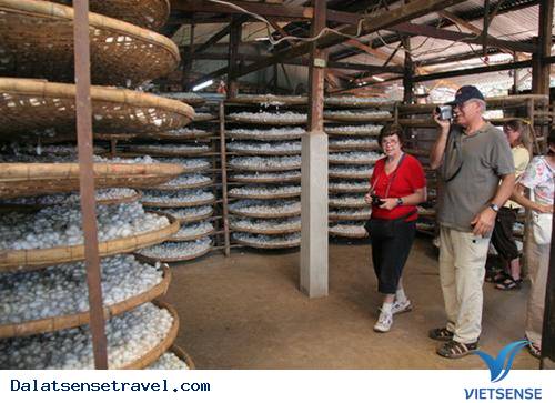 Đà Lạt: Hỗ Trợ 8,2 Tỷ Đồng Phát Triển Làng Nghề Truyền Thống - Ảnh 1 Đà Lạt: Hỗ Trợ 8,2 Tỷ Đồng Phát Triển Làng Nghề Truyền Thống - Ảnh 1