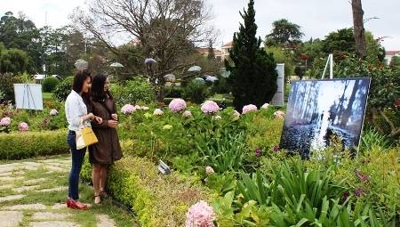 Đà Lạt Quyến Rũ Với Lễ Hội Mưa Phố Núi - Ảnh 2 Đà Lạt Quyến Rũ Với Lễ Hội Mưa Phố Núi - Ảnh 2