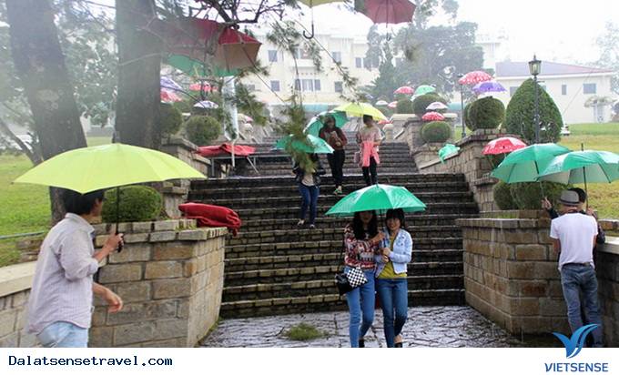 Đà Lạt Quyến Rũ Với Lễ Hội Mưa Phố Núi - Ảnh 1 Đà Lạt Quyến Rũ Với Lễ Hội Mưa Phố Núi - Ảnh 1