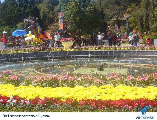 Đà Lạt: Trên 56.500 khách thăm quan Tham Quan Hội Hoa Xuân - Ảnh 2
