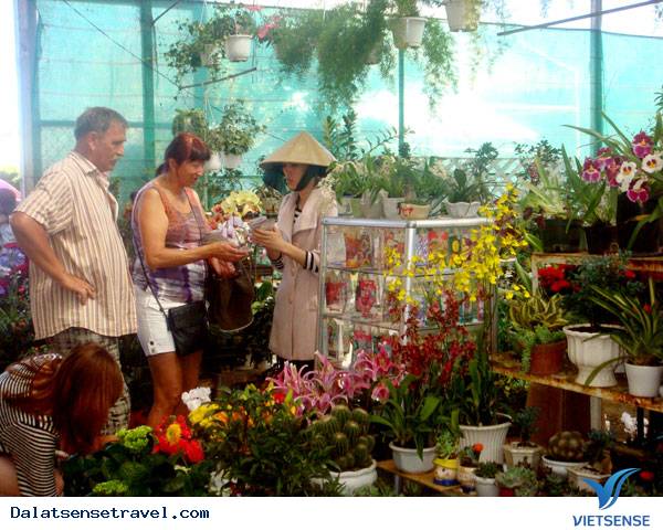 Đà Lạt: Trên 56.500 khách thăm quan Tham Quan Hội Hoa Xuân - Ảnh 1