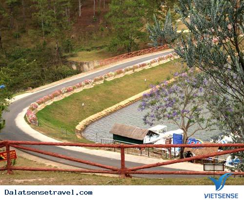 Đà Lạt Vào Mùa Hoa Phượng Tím - Ảnh 2