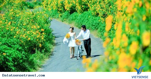 Đèo Tà Nung - Ảnh 1 Đèo Tà Nung - Ảnh 1