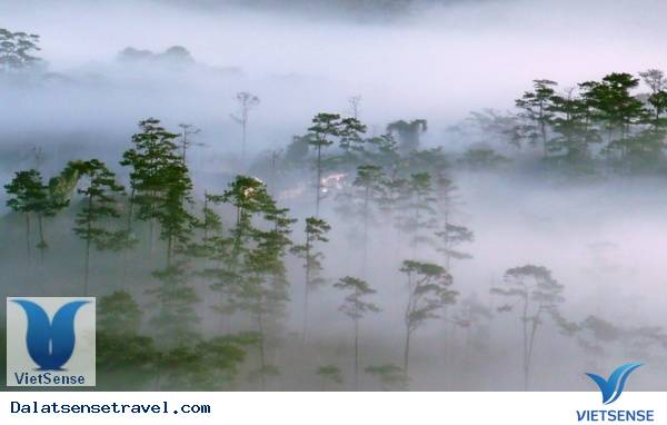 du lịch đà lạt du lịch đà lạt