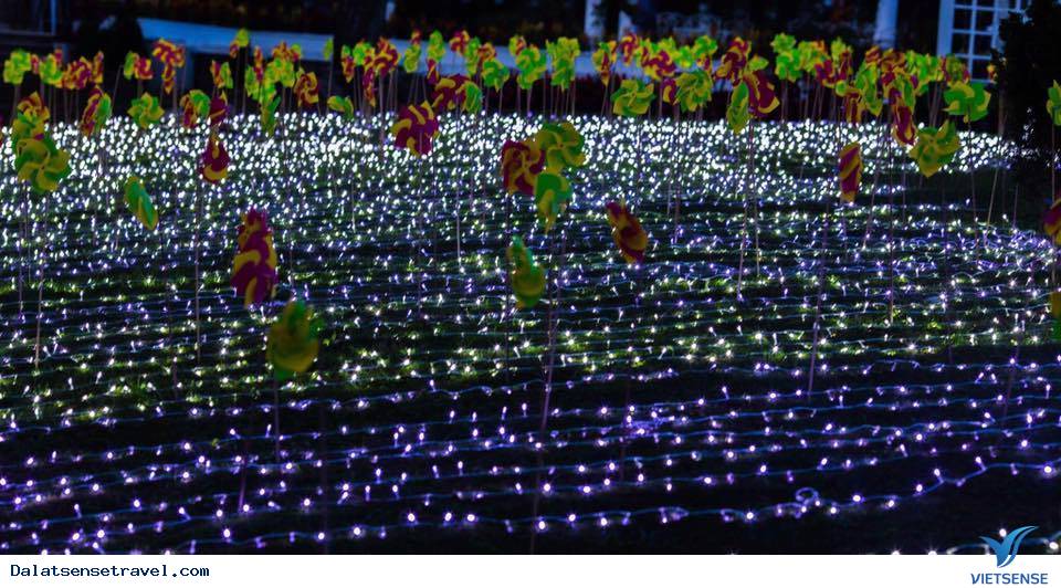 Dinh thự vua Bảo Đại rực rỡ ánh đèn lồng đón trung thu - Ảnh 4 Dinh thự vua Bảo Đại rực rỡ ánh đèn lồng đón trung thu - Ảnh 4