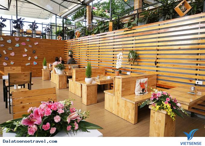 Độc đáo quán café vườn rau tại Đà Lạt - Ảnh 5 Độc đáo quán café vườn rau tại Đà Lạt - Ảnh 5