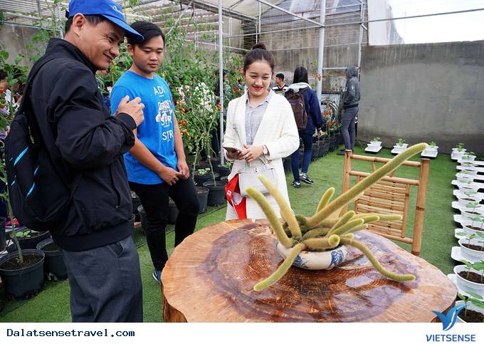 Độc đáo quán café vườn rau tại Đà Lạt - Ảnh 9 Độc đáo quán café vườn rau tại Đà Lạt - Ảnh 9