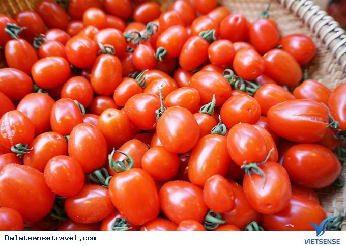 Độc đáo quán café vườn rau tại Đà Lạt - Ảnh 8 Độc đáo quán café vườn rau tại Đà Lạt - Ảnh 8