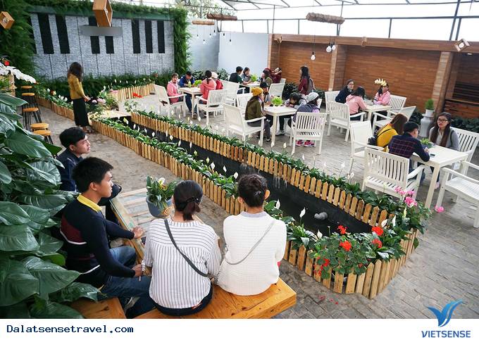 Độc đáo quán café vườn rau tại Đà Lạt - Ảnh 1 Độc đáo quán café vườn rau tại Đà Lạt - Ảnh 1