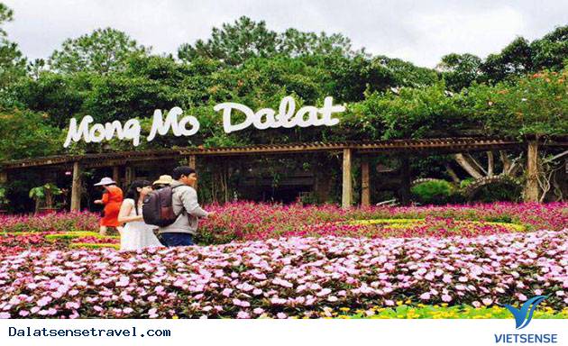 Đồi Mộng Mơ Đồi Mộng Mơ