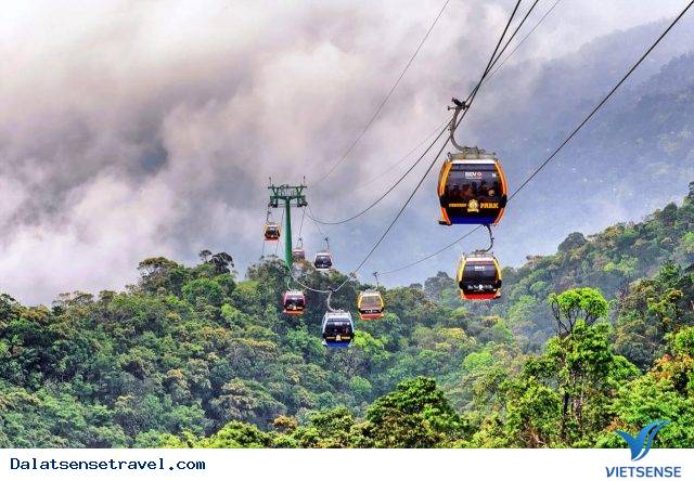 Đồi Robin - Cáp treo Đà Lạt Đồi Robin - Cáp treo Đà Lạt