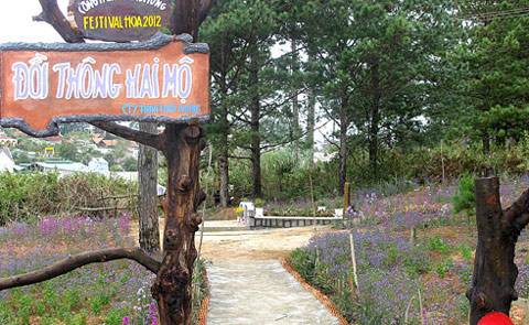 đồi thông hai mộ, Đà Lạt, hồ Than Thở đồi thông hai mộ, du lịch Đà Lạt, hồ Than Thở