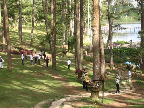 đồi thông hai mộ, Đà Lạt, hồ Than Thở đồi thông hai mộ, du lịch Đà Lạt, hồ Than Thở