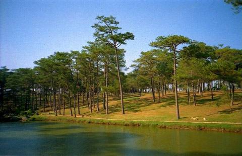 đồi thông hai mộ, Đà Lạt, hồ Than Thở đồi thông hai mộ, Đà Lạt, hồ Than Thở