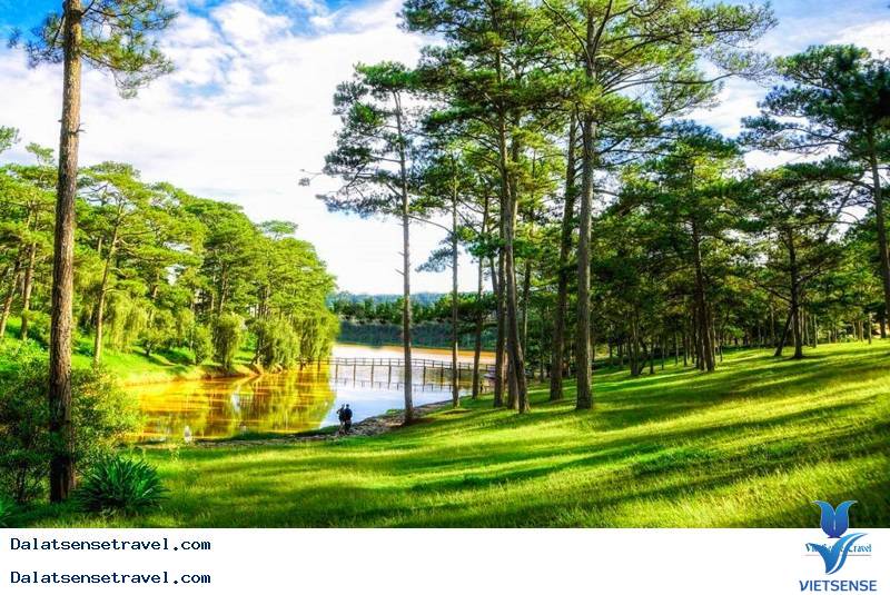 Hồ Xuân Hương Hồ Xuân Hương