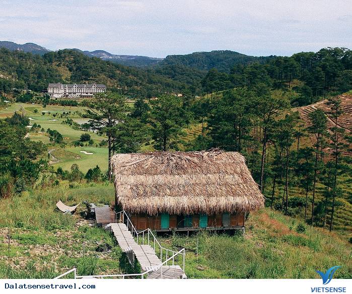 Homestay mới tại Đà Lạt đẹp tựa tiên cảnh bồng bềnh trên mây - Ảnh 4 Homestay mới tại Đà Lạt đẹp tựa tiên cảnh bồng bềnh trên mây - Ảnh 4