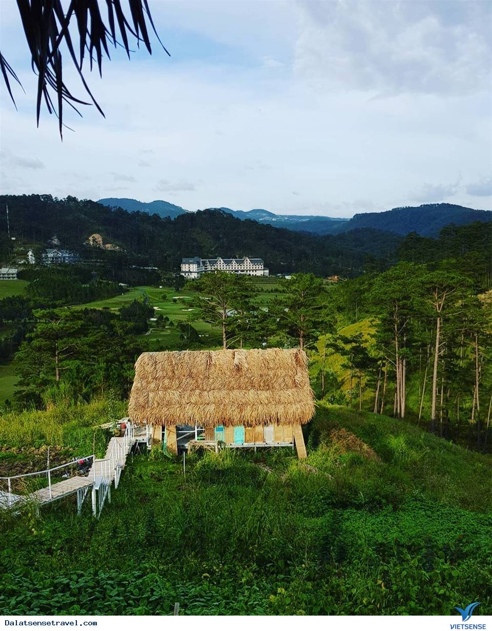 Homestay mới tại Đà Lạt đẹp tựa tiên cảnh bồng bềnh trên mây - Ảnh 3 Homestay mới tại Đà Lạt đẹp tựa tiên cảnh bồng bềnh trên mây - Ảnh 3