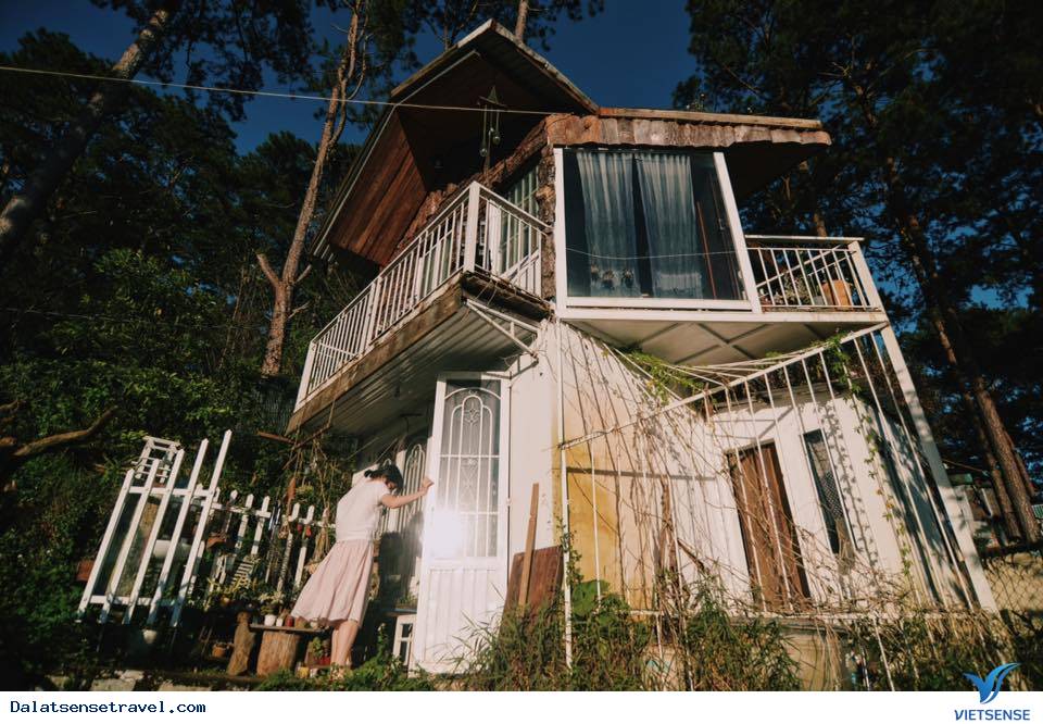 Indigo Home Đà Lạt Indigo Home Đà Lạt