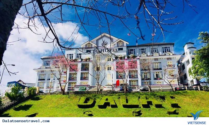 Khách sạn TTC Premium - Ngọc Lan Khách sạn TTC Premium - Ngọc Lan