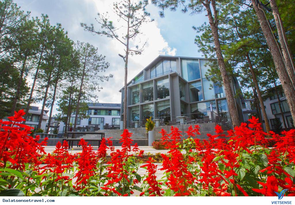 Khách sạn và Resort Terracotta Đà Lạt Khách sạn và Resort Terracotta Đà Lạt