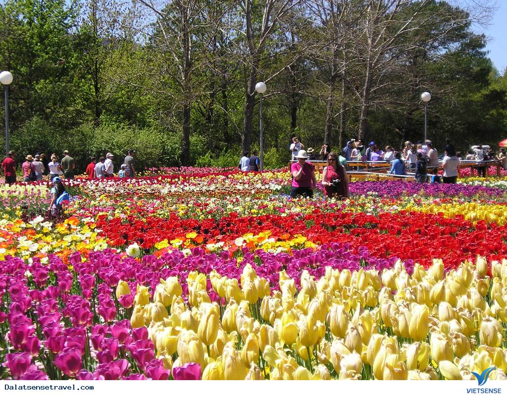 Lâm Đồng - Khánh Hòa Hợp Tác Khai Thác Thị Trường Khách Nga - Ảnh 2