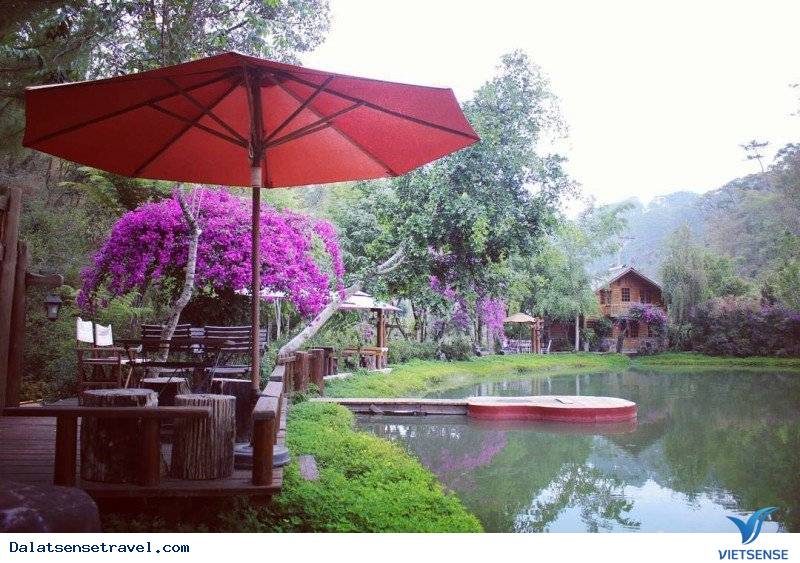 Ma Rừng Lữ Quán – tìm về một nơi thần tiên tại Đà Lạt - Ảnh 2 Ma Rừng Lữ Quán – tìm về một nơi thần tiên tại Đà Lạt - Ảnh 2