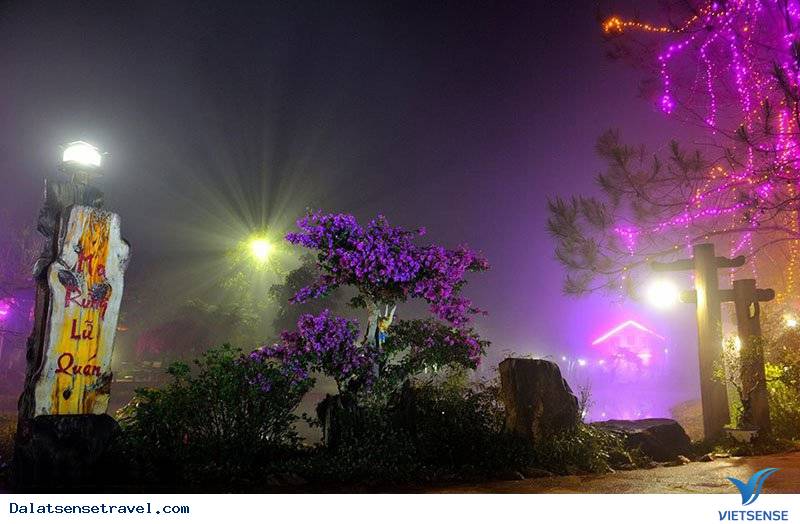 Ma Rừng Lữ Quán – tìm về một nơi thần tiên tại Đà Lạt - Ảnh 4 Ma Rừng Lữ Quán – tìm về một nơi thần tiên tại Đà Lạt - Ảnh 4