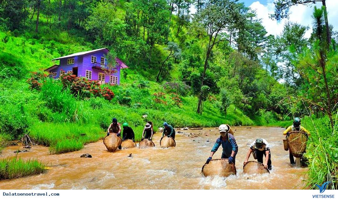 Ma Rừng Lữ Quán – tìm về một nơi thần tiên tại Đà Lạt - Ảnh 7 Ma Rừng Lữ Quán – tìm về một nơi thần tiên tại Đà Lạt - Ảnh 7