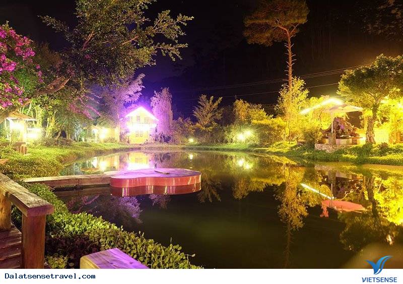 Ma Rừng Lữ Quán – tìm về một nơi thần tiên tại Đà Lạt - Ảnh 3 Ma Rừng Lữ Quán – tìm về một nơi thần tiên tại Đà Lạt - Ảnh 3