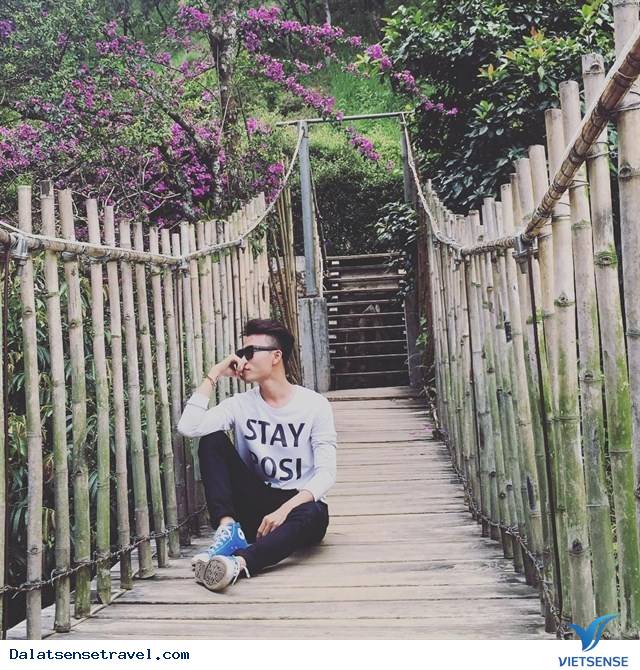 Ma Rừng Lữ Quán – tìm về một nơi thần tiên tại Đà Lạt - Ảnh 6 Ma Rừng Lữ Quán – tìm về một nơi thần tiên tại Đà Lạt - Ảnh 6