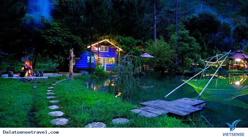 Ma Rừng Lữ Quán – tìm về một nơi thần tiên tại Đà Lạt - Ảnh 1 Ma Rừng Lữ Quán – tìm về một nơi thần tiên tại Đà Lạt - Ảnh 1