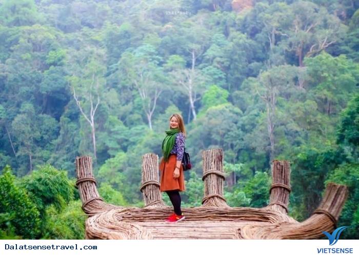 Mới toanh 2 điểm tham quan mới tại Đà Lạt khiến cư dân mạng xôn xao - Ảnh 2 Mới toanh 2 điểm tham quan mới tại Đà Lạt khiến cư dân mạng xôn xao - Ảnh 2